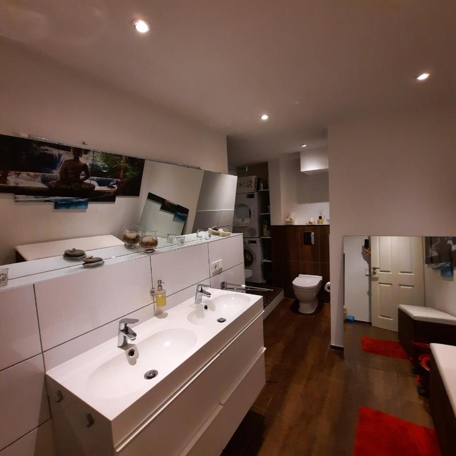 Full Flat 3 Bedrooms Saarbrucken Center -11 People Eksteriør billede